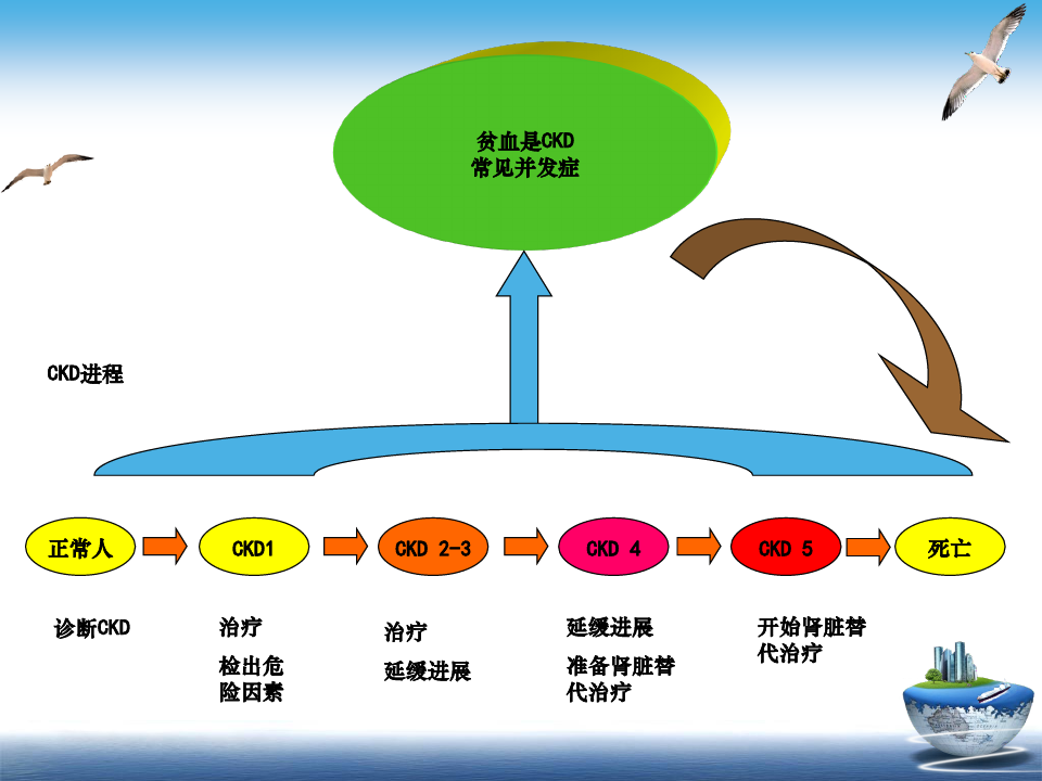 肾性贫血诊断与治疗中国专家共识(2014+修订版)
