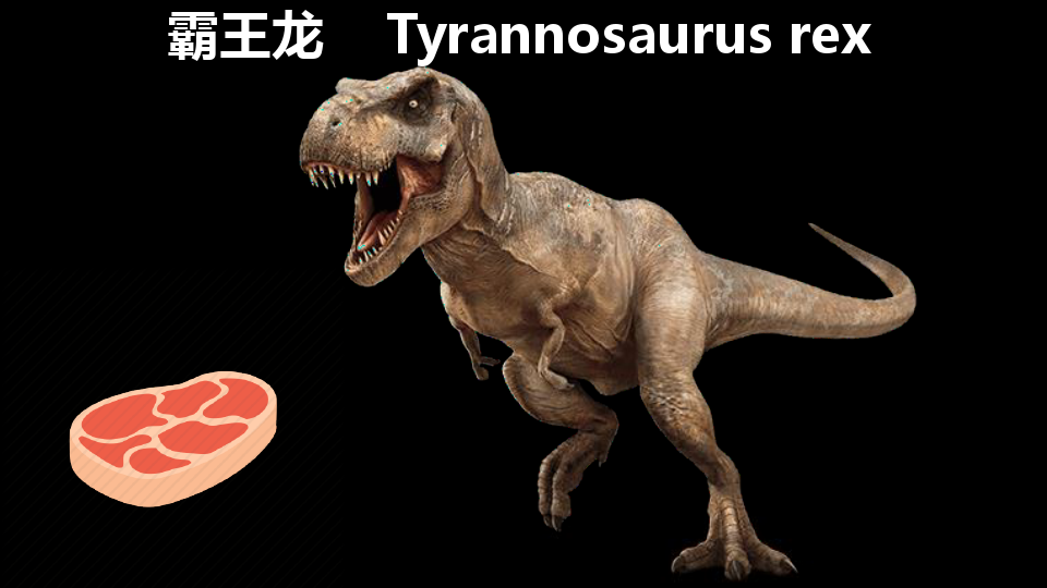 恐龙种类中英文对照dinosaur flashcards ppt课件