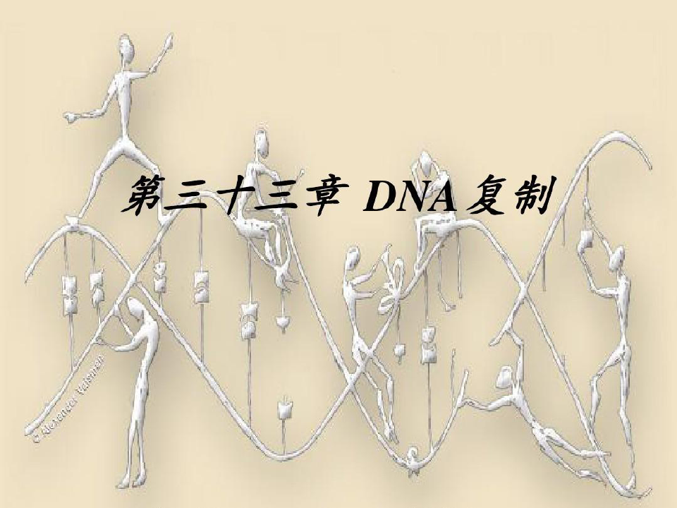 生物竞赛-生物化学-33DNA复制-顶级资源《生物化学原理(第二版)(三)》共91页