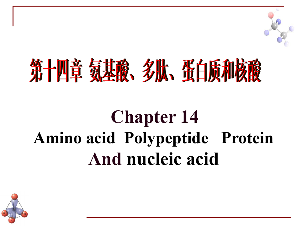 多肽及蛋白质