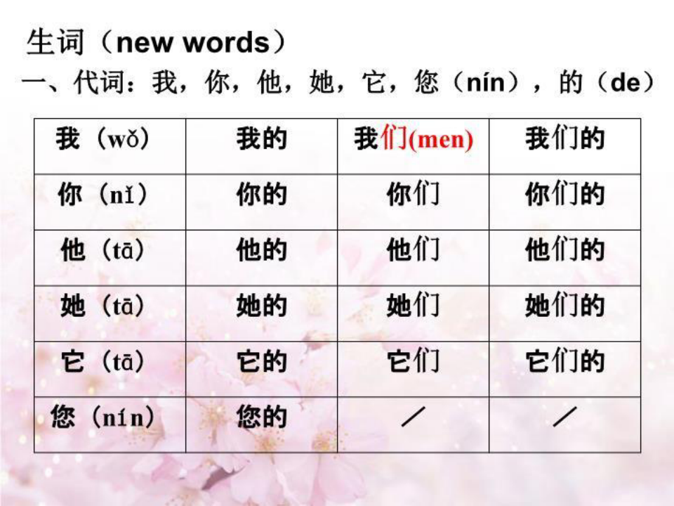 对外汉语教学法词汇教案