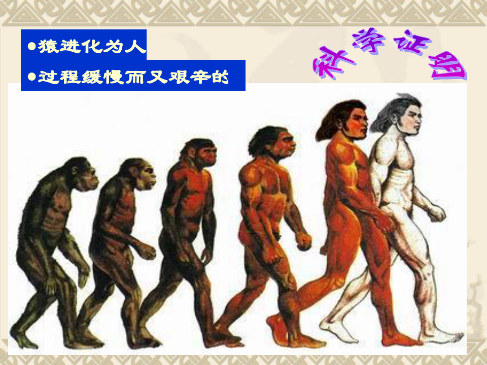 中华大地的远古人类