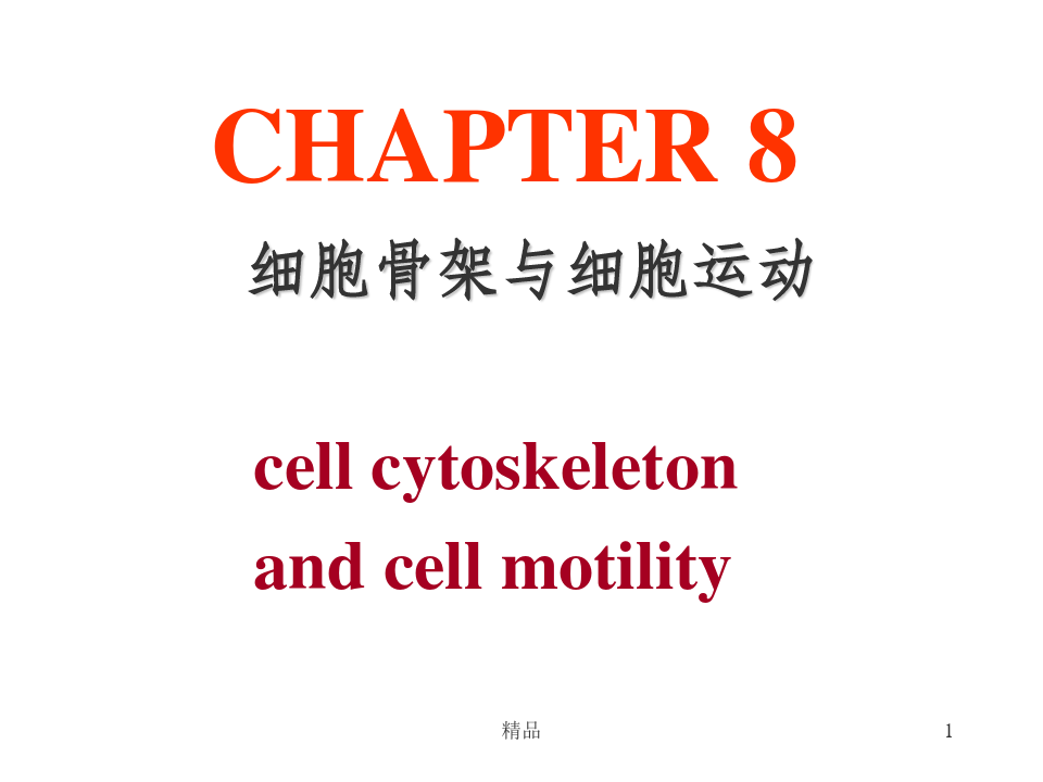 细胞生物学第八章细胞骨架与细胞运动