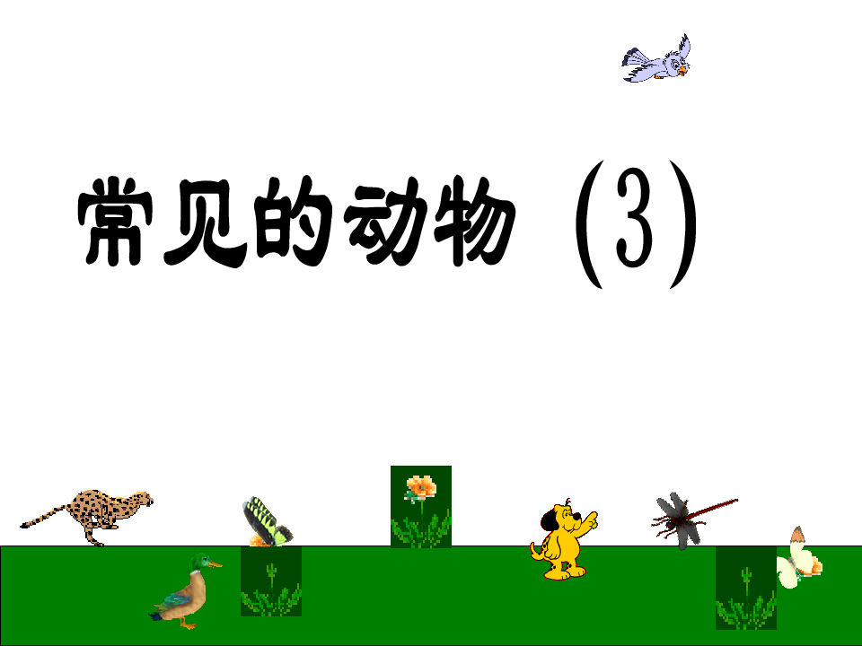 浙教版七年级科学上册常见的动物 (2)