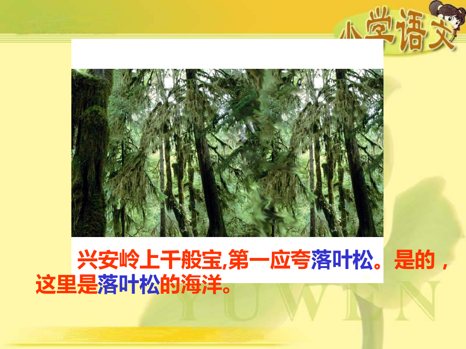 《林海》(北京版六年级语文上册)PPT课件
