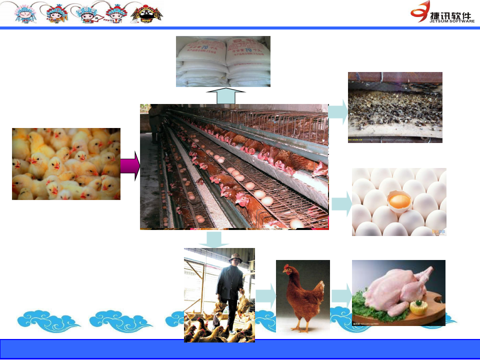 家禽养殖：养鸡的利润分析