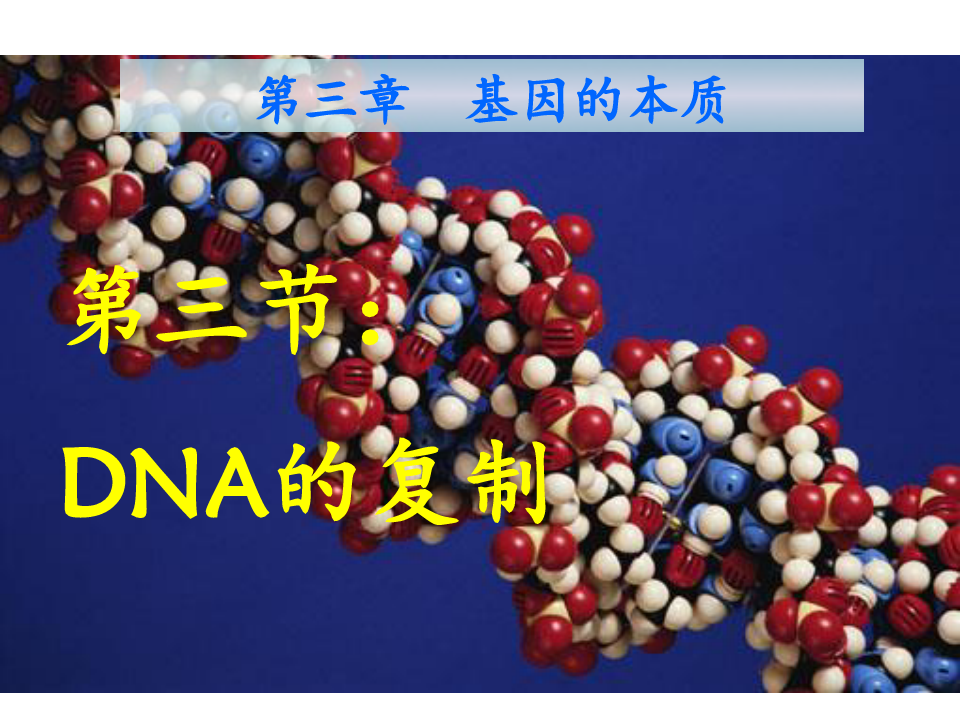 高中生物必修二DNA的复制PPT课件