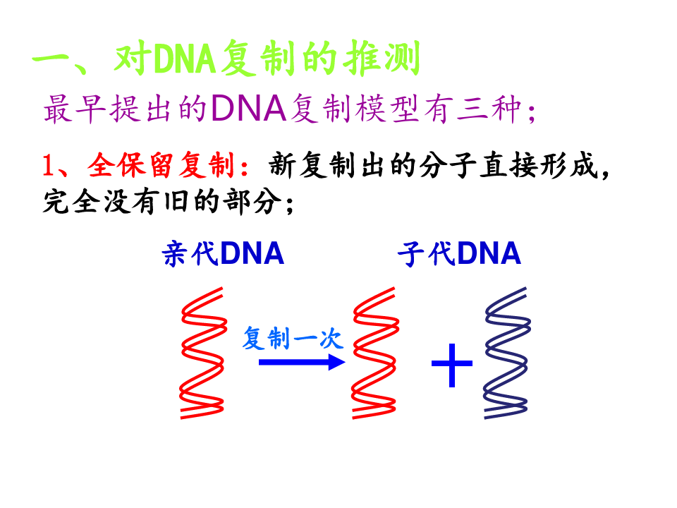 高中生物必修二DNA的复制PPT课件