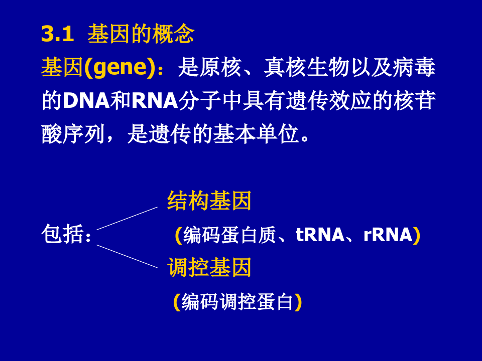 第三章-基因与基因组的结构