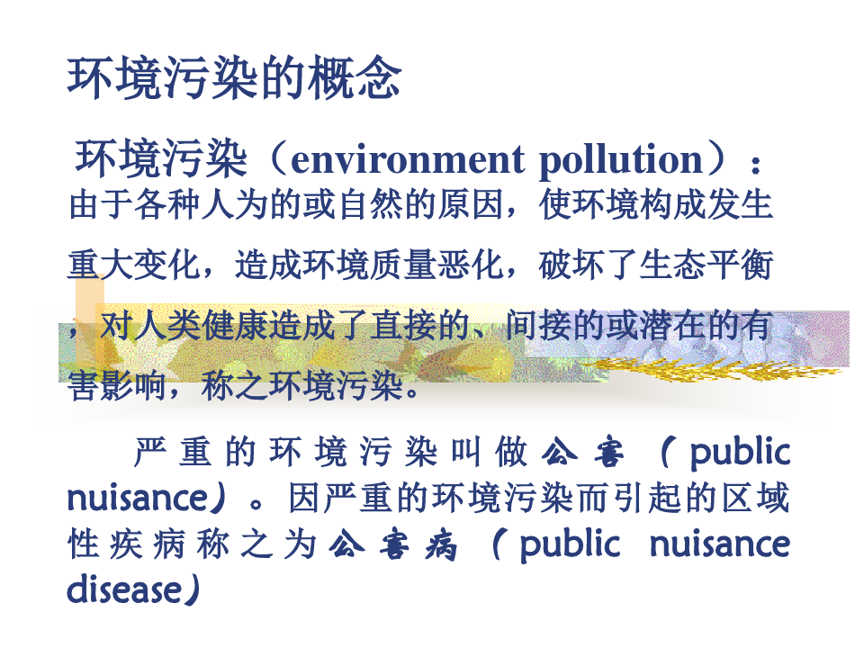 环境污染案例讨论PPT(47张)