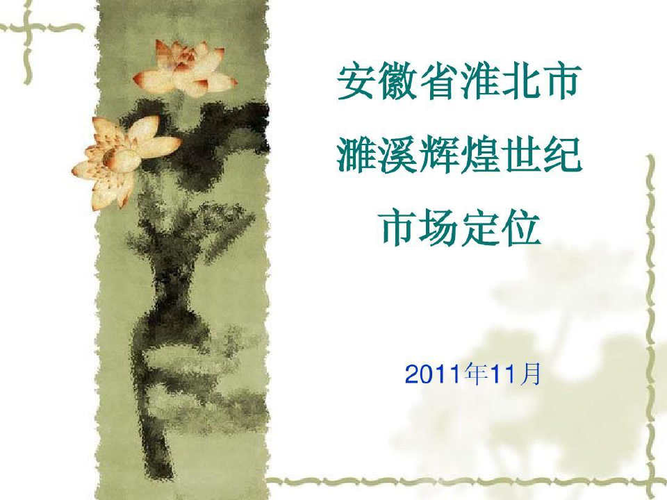 安徽省淮北市世纪项目定位报告共29页