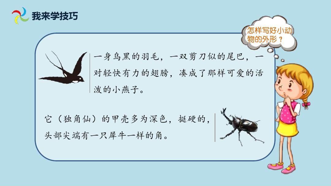 三年级下册语文优质课件-《昆虫备忘录》照样子写小动物外形_人教(部编版)