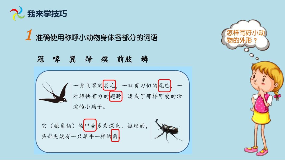 三年级下册语文优质课件-《昆虫备忘录》照样子写小动物外形_人教(部编版)