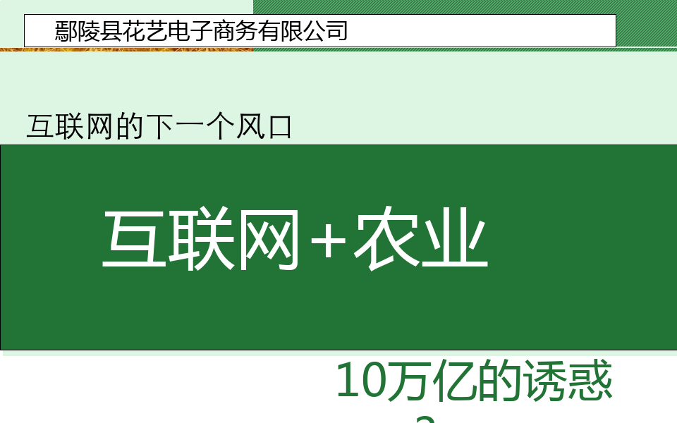农村电商培训课件PPT(101张)