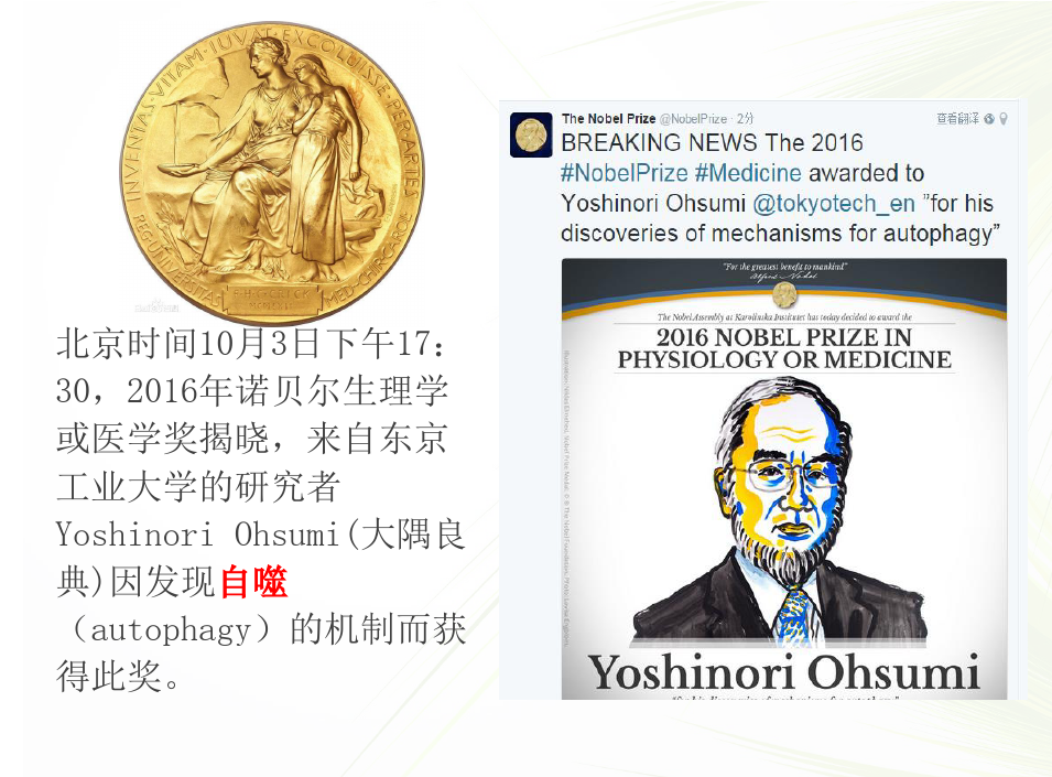 2016诺贝尔生理与医学奖