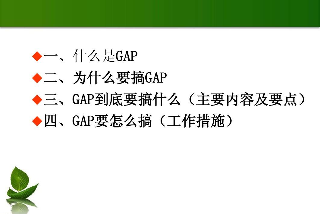 GAP管理规范及工作要点(20140208)