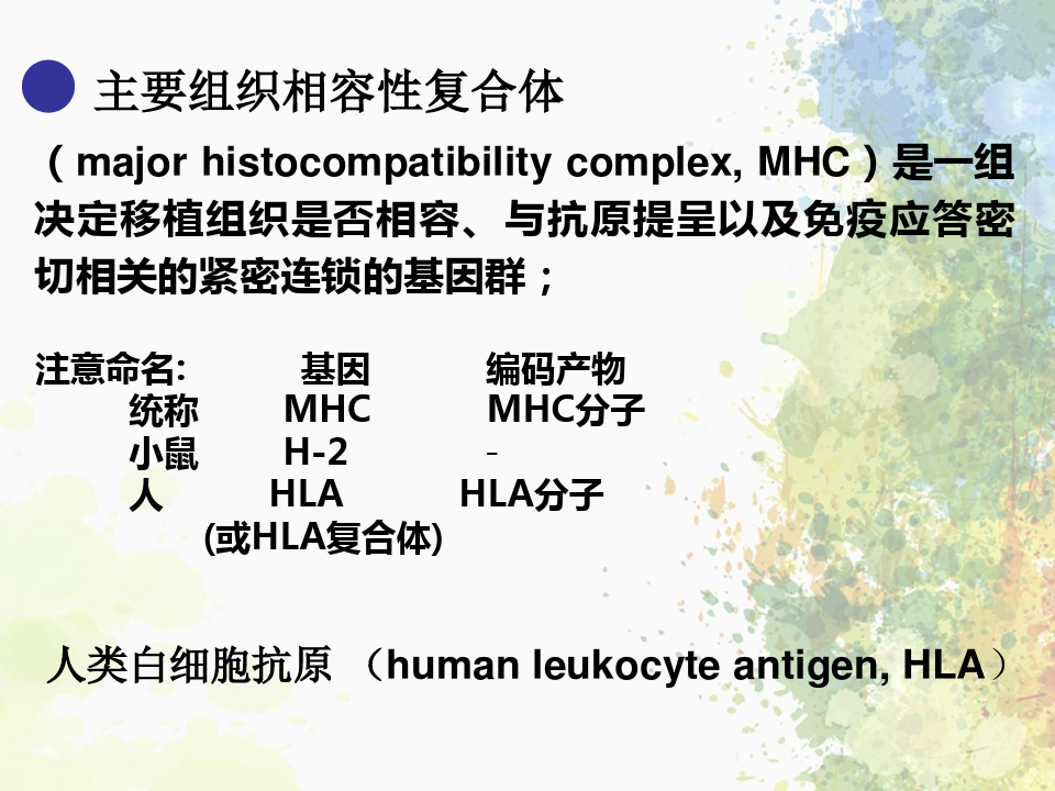 第8+9章-MHC+免疫细胞_PPT幻灯片