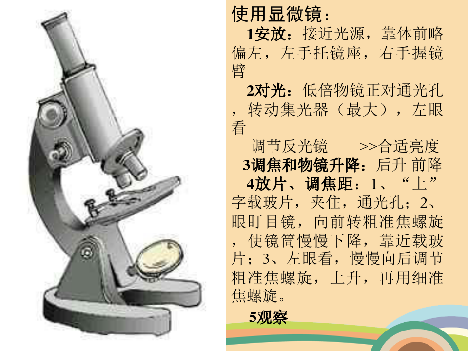 七年级科学显微镜的使用PPT教学课件