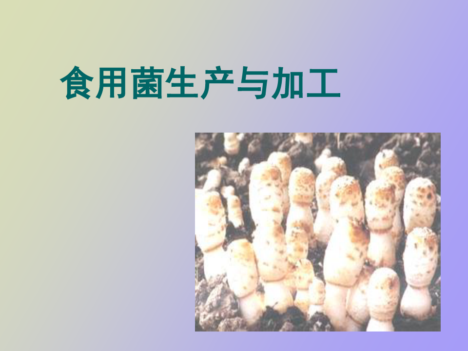 【精品课件】食用菌生产与加工