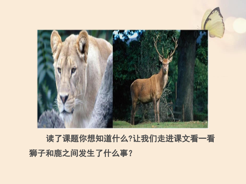 狮子和鹿-PPT全文课件(第一课时)