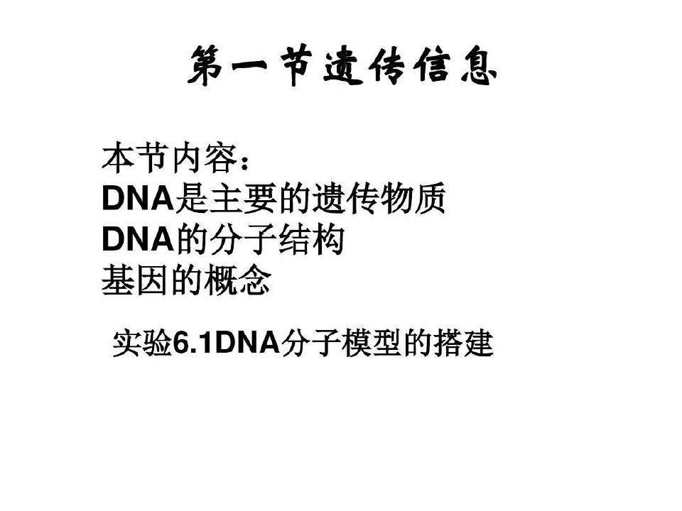遗传信息教学课件 沪科版32页PPT