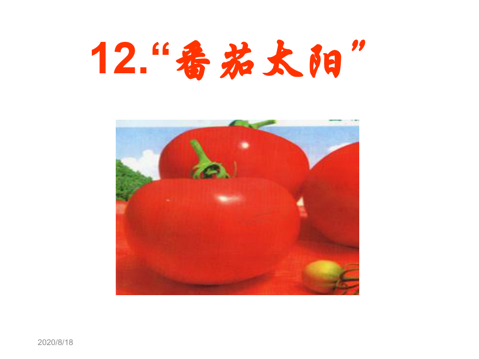 12番茄太阳-ppt课件
