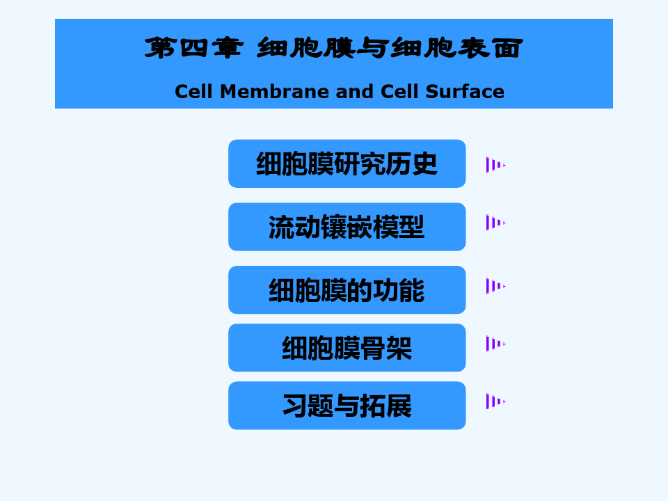 细胞生物学细胞膜结构及膜骨架(ppt)