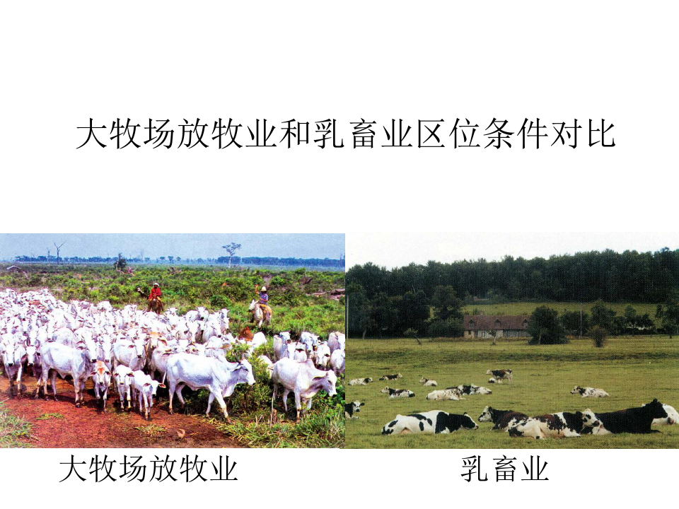 大牧场放牧业和乳畜业区位条件对比