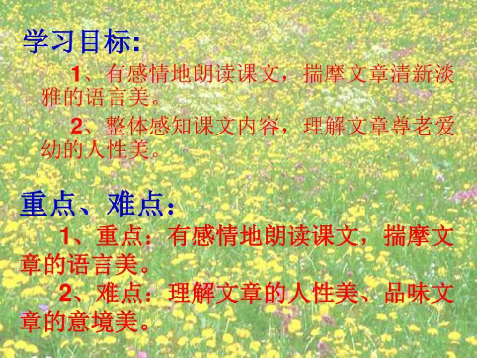 初中语文优质课比赛一等奖获得者课件《散步》