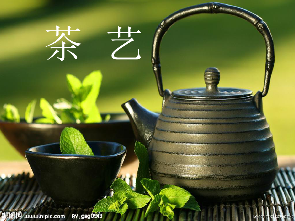中国茶艺培训讲义