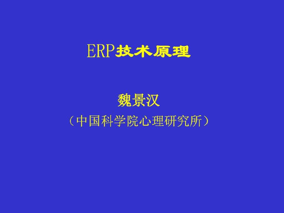 ERP技术原理-PPT课件