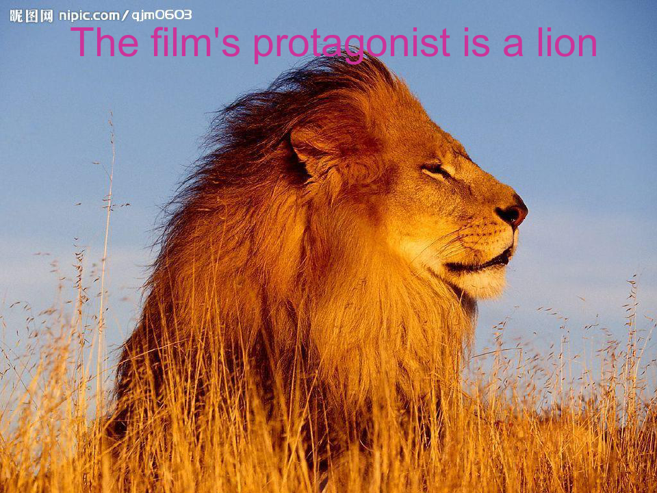 《lion-king》(狮子王介绍PPT)