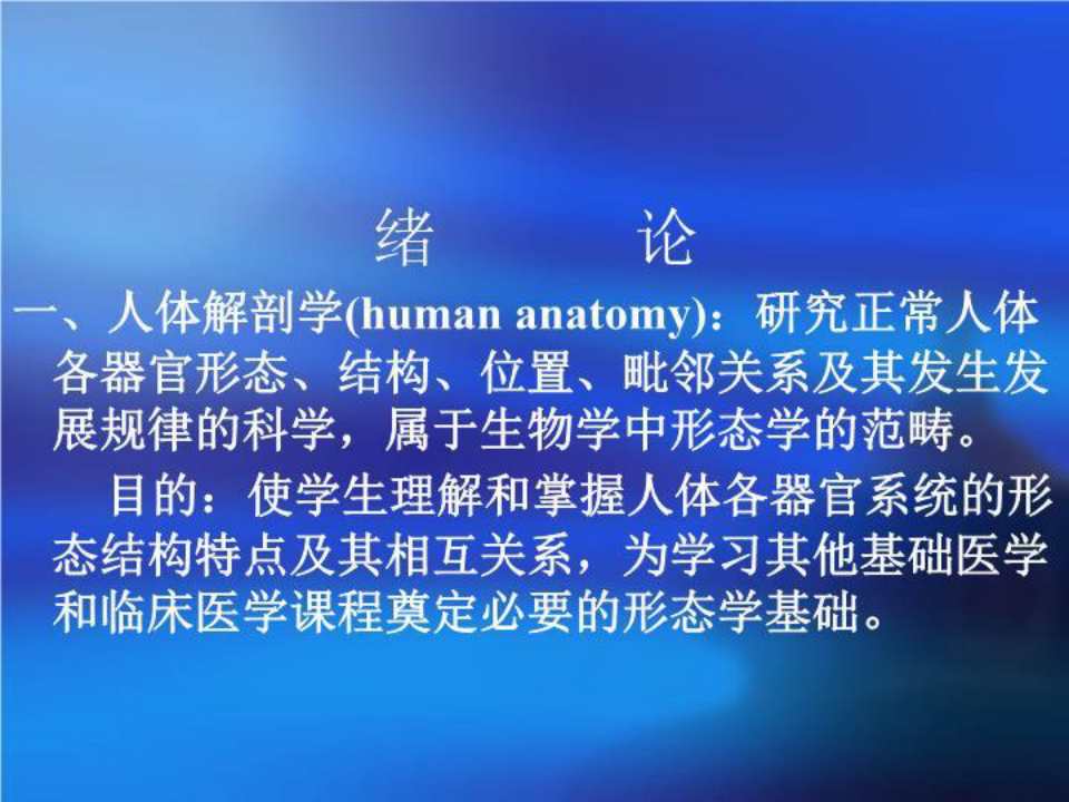 【PPT】人体解剖学 PPT课件