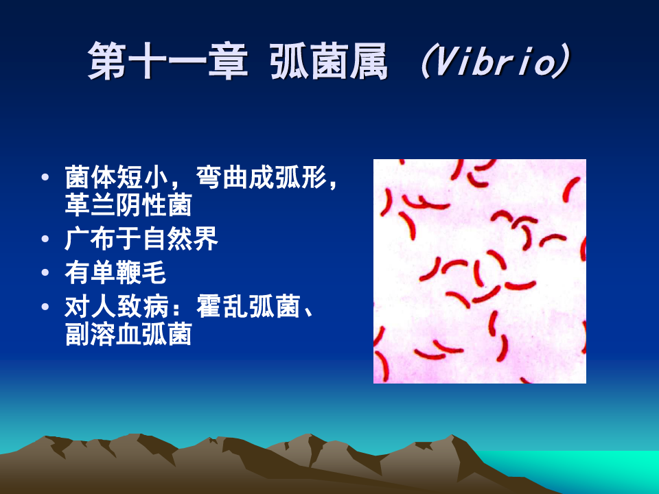 医学微生物学-第十一章 弧菌属 (Vibrio)