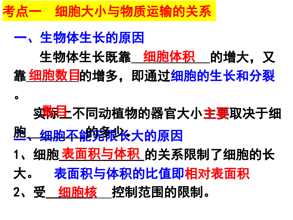 61细胞的增殖课件-广东省汕头市潮阳实验学校高考生物一轮复习(共64张PPT)