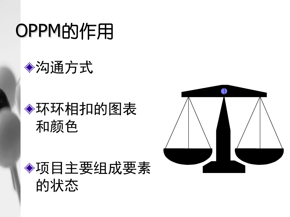 OPPM一页纸项目管理.ppt