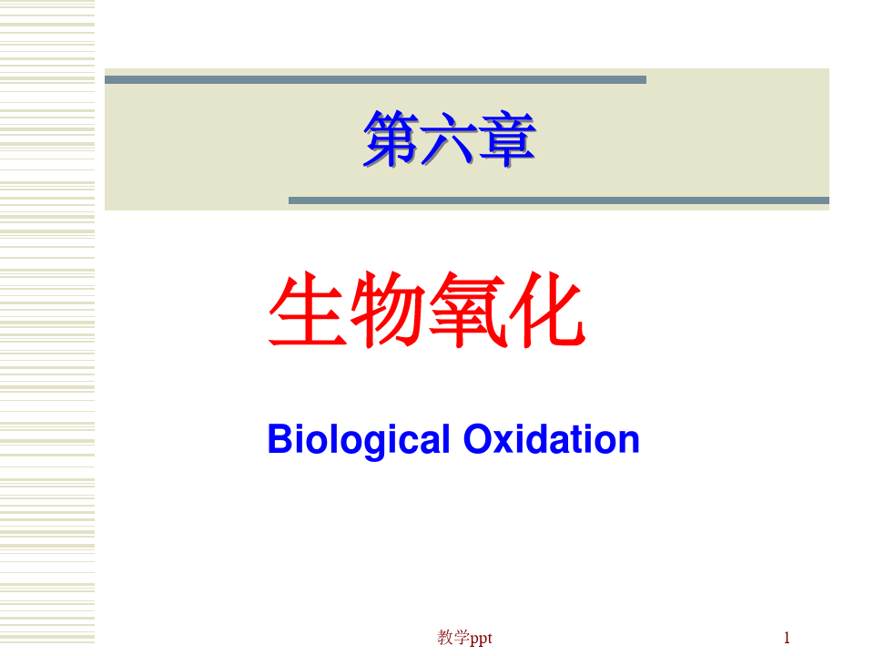 生物化学--生物氧化