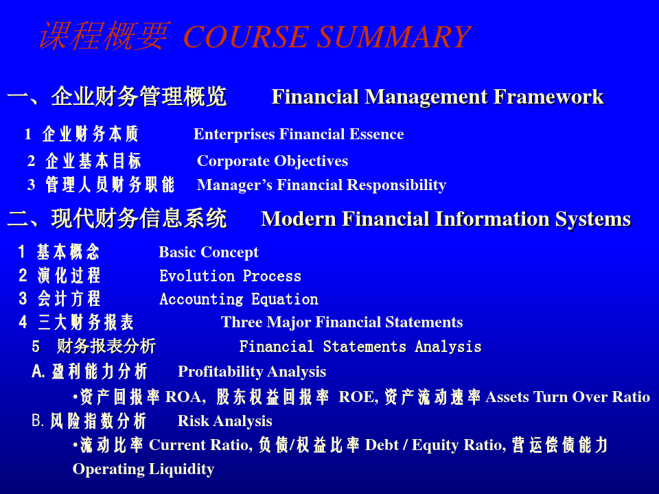 企业财务管理概览与财务信息系统(ppt 111页)