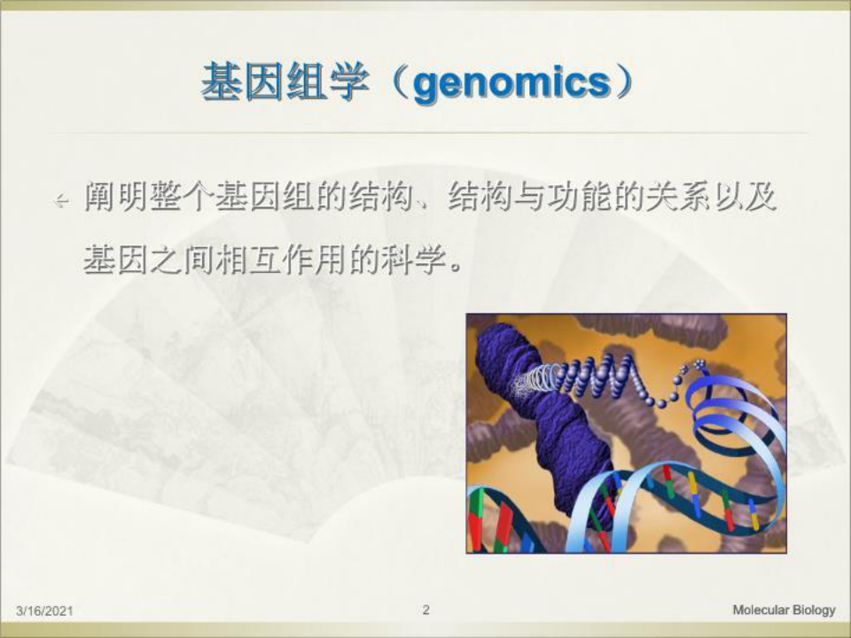 基因组学、功能基因组学、蛋白质组学