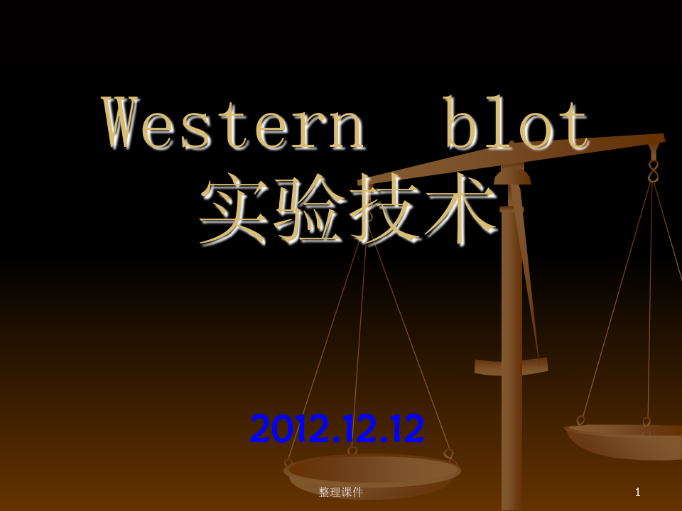 蛋白质印迹法WesternBlot技术