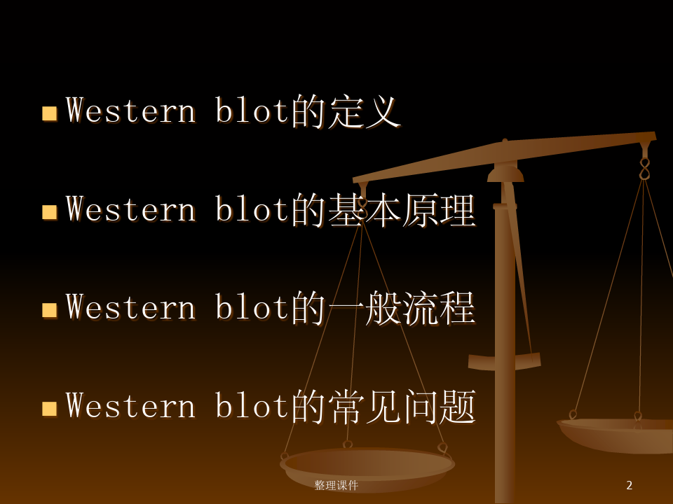 蛋白质印迹法WesternBlot技术