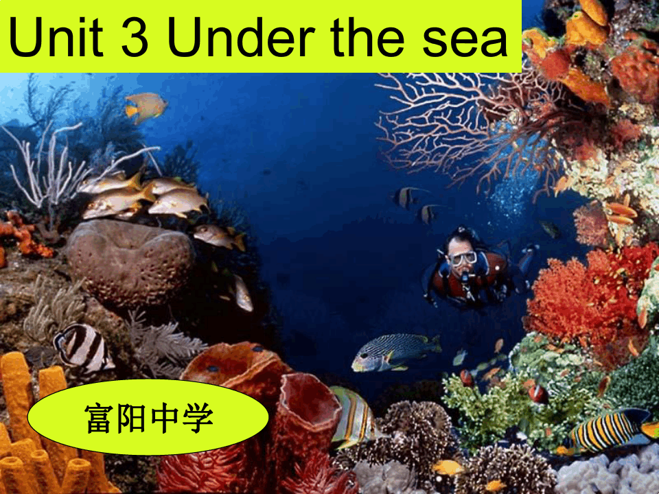 英语：选修7 Unit3 Under the sea-说课课件(新人教版)