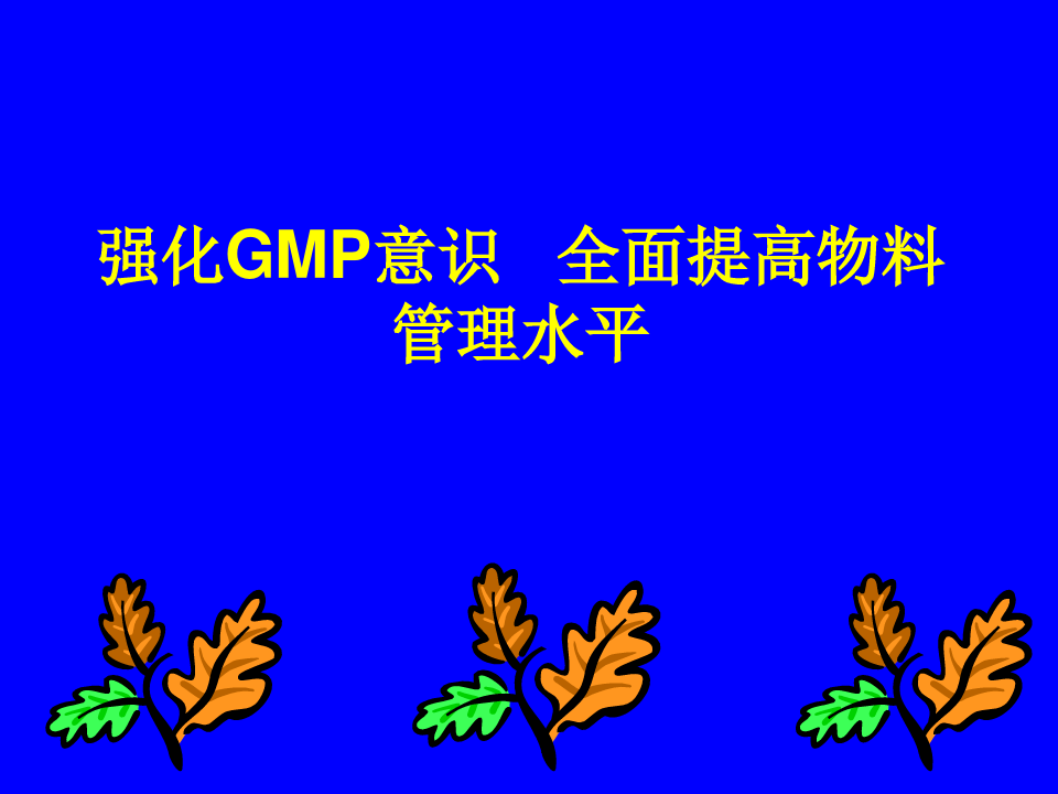 新版GMP物料管理培训讲义PPT40页