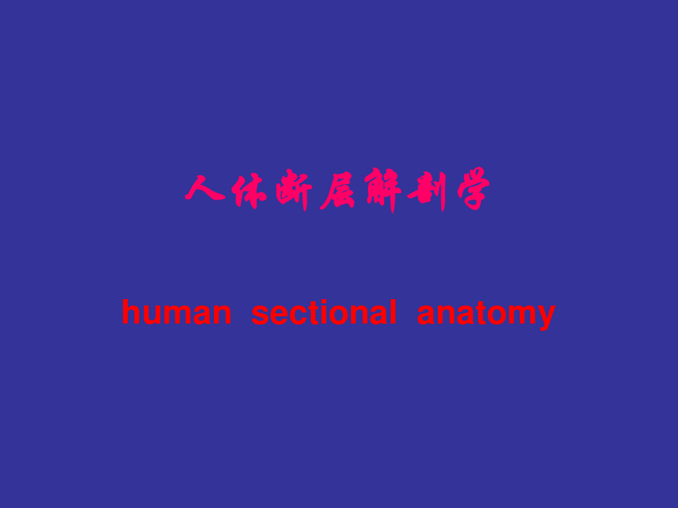 [精品]人体断层解剖学