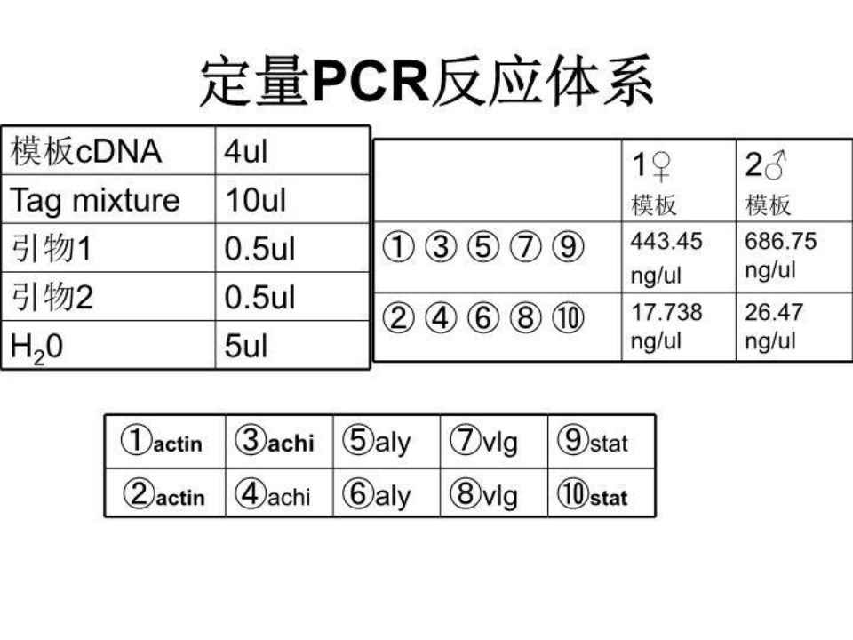 荧光定量PCR原理及操作步骤