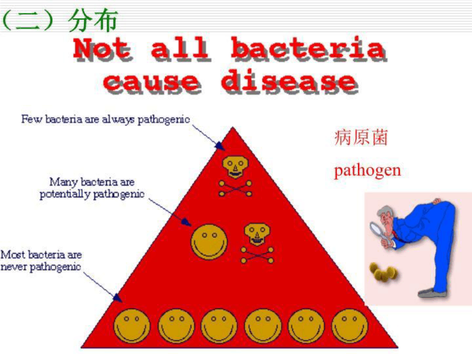 医学微生物学 第7章 细菌的感染与免疫