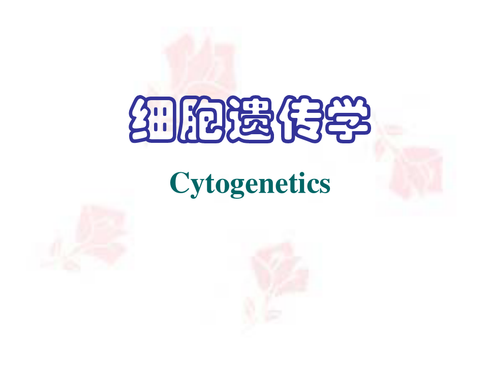 细胞遗传学 Cytogenetics 染色体的形态与遗传的关系