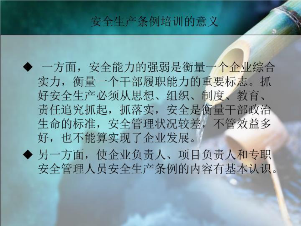 《北京市安全生产条例》培训共44页文档
