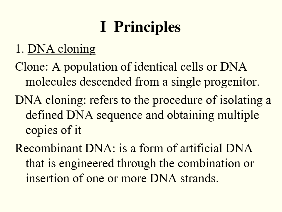 分子生物学英文课件：genetic engineering