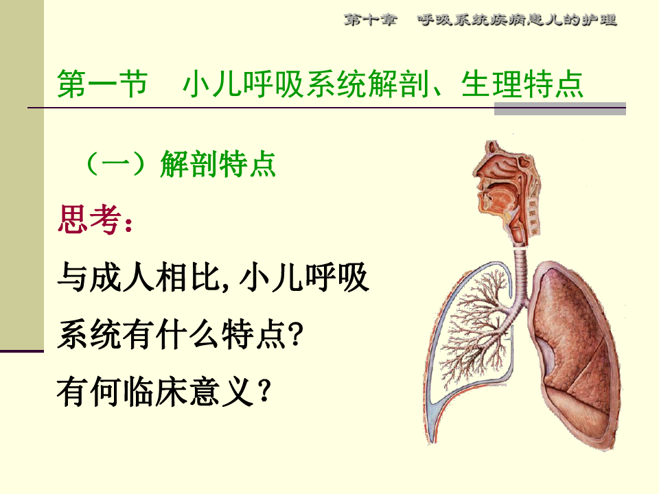 第10章 呼吸系统疾病患儿的护理gyPPT课件